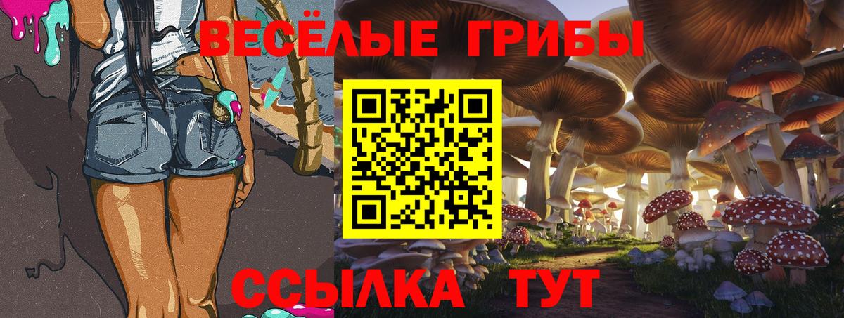 Псилоцибиновые грибы Magic Shrooms Ступино