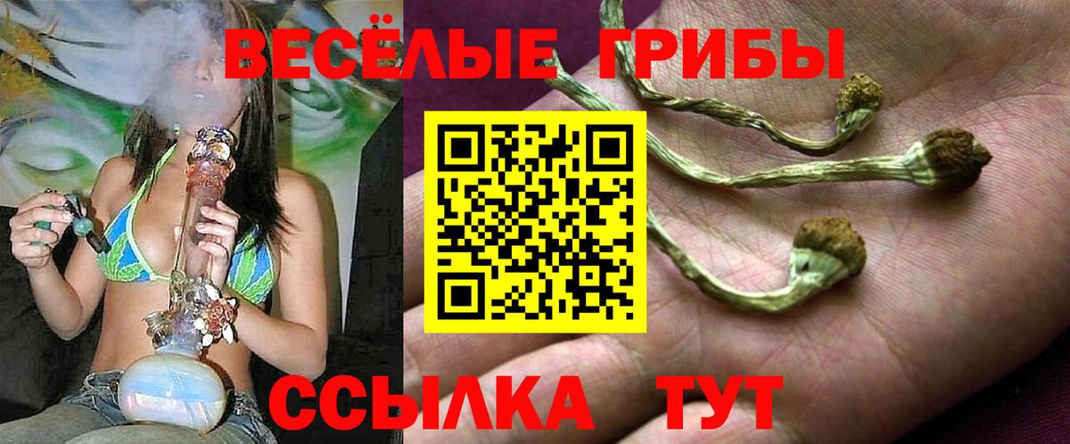 Ступино  Галлюциногенные грибы мицелий  Вход с VPN 